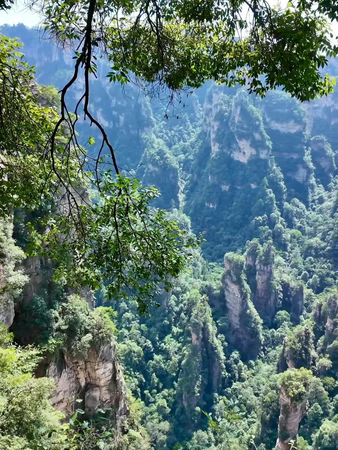 去了张家界武陵源，感觉其他山就不想去了