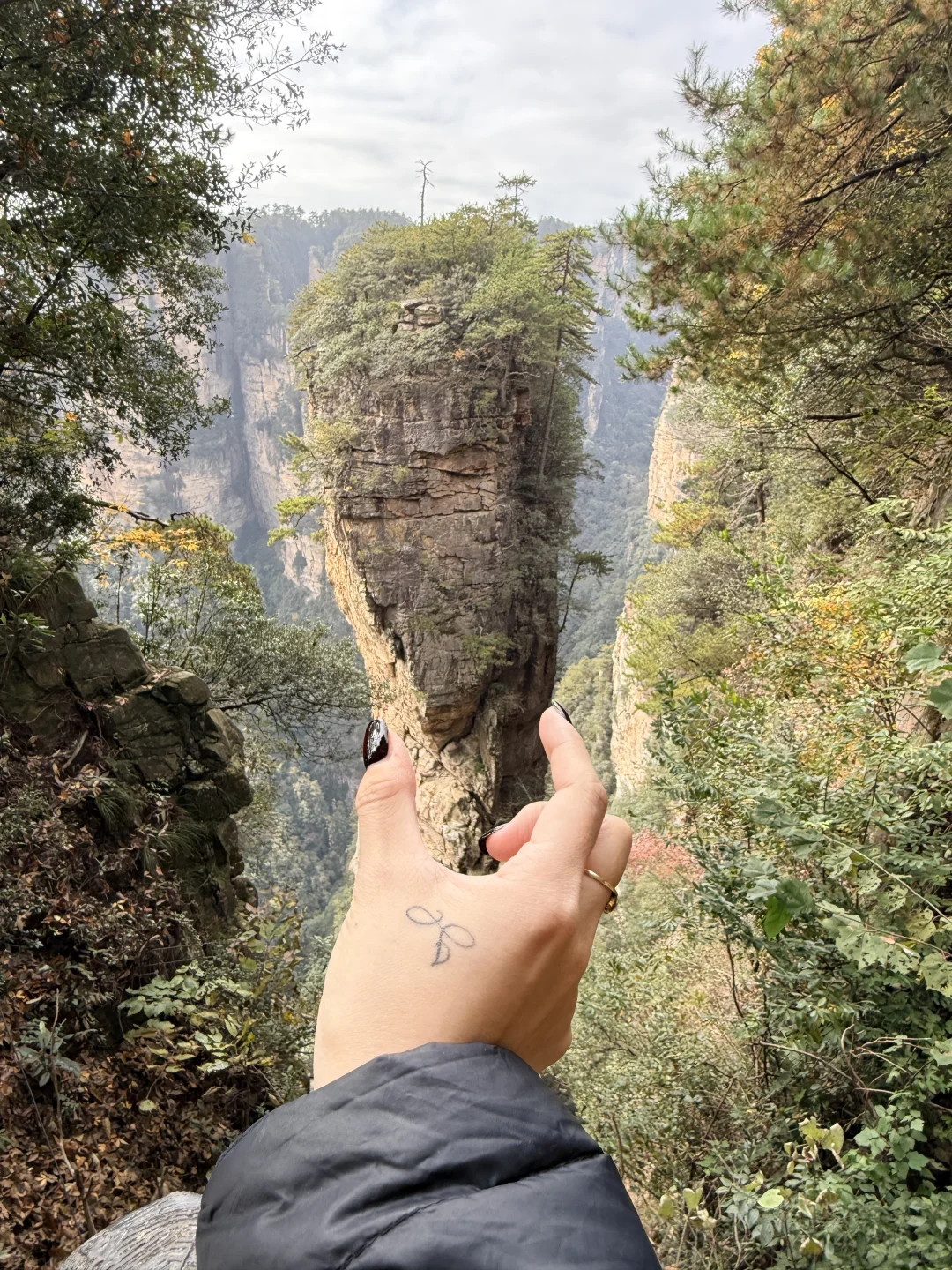 11.11的张家界森林公园