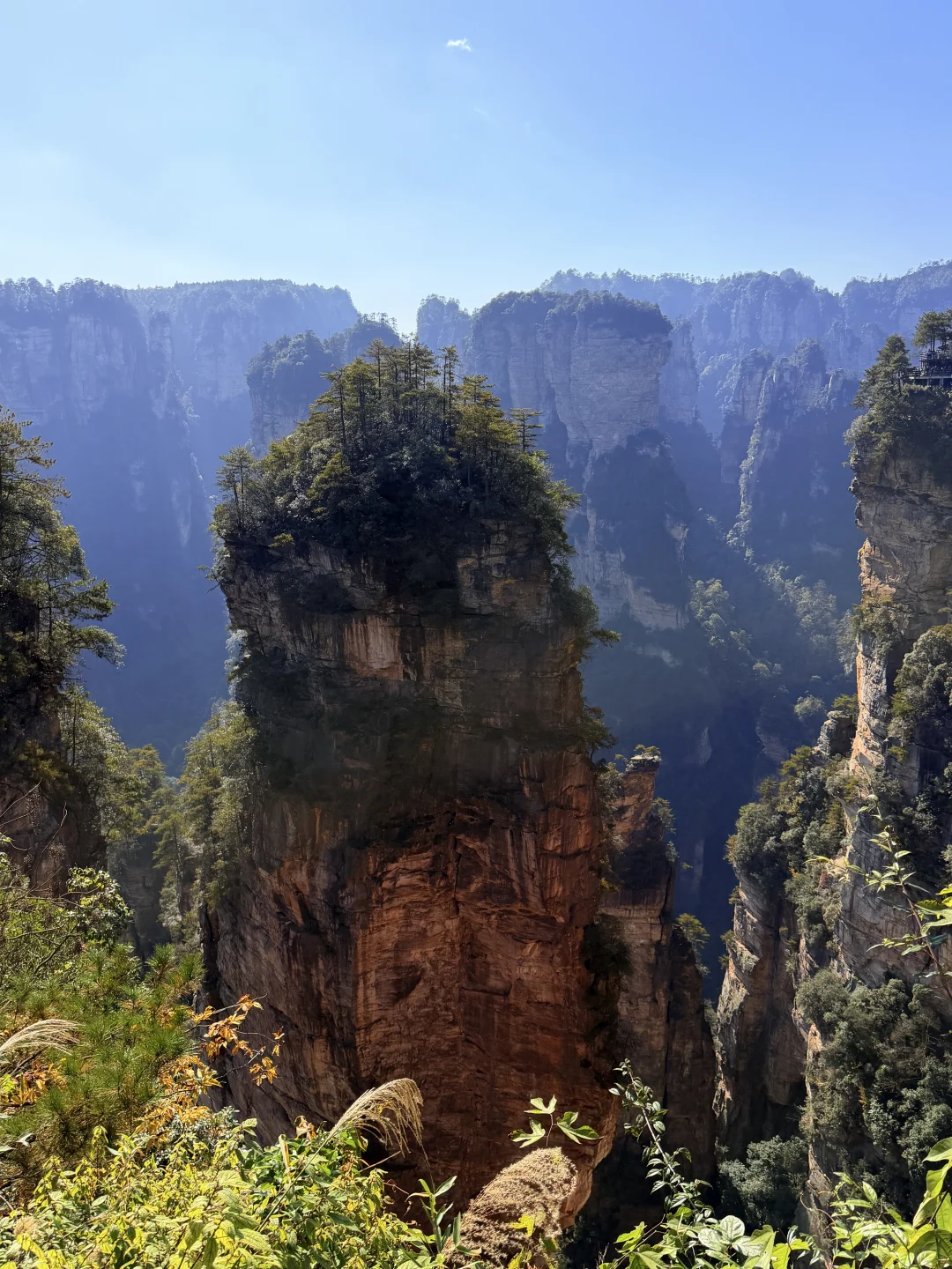 张家界国家森林公园⛰️阿凡达取景地