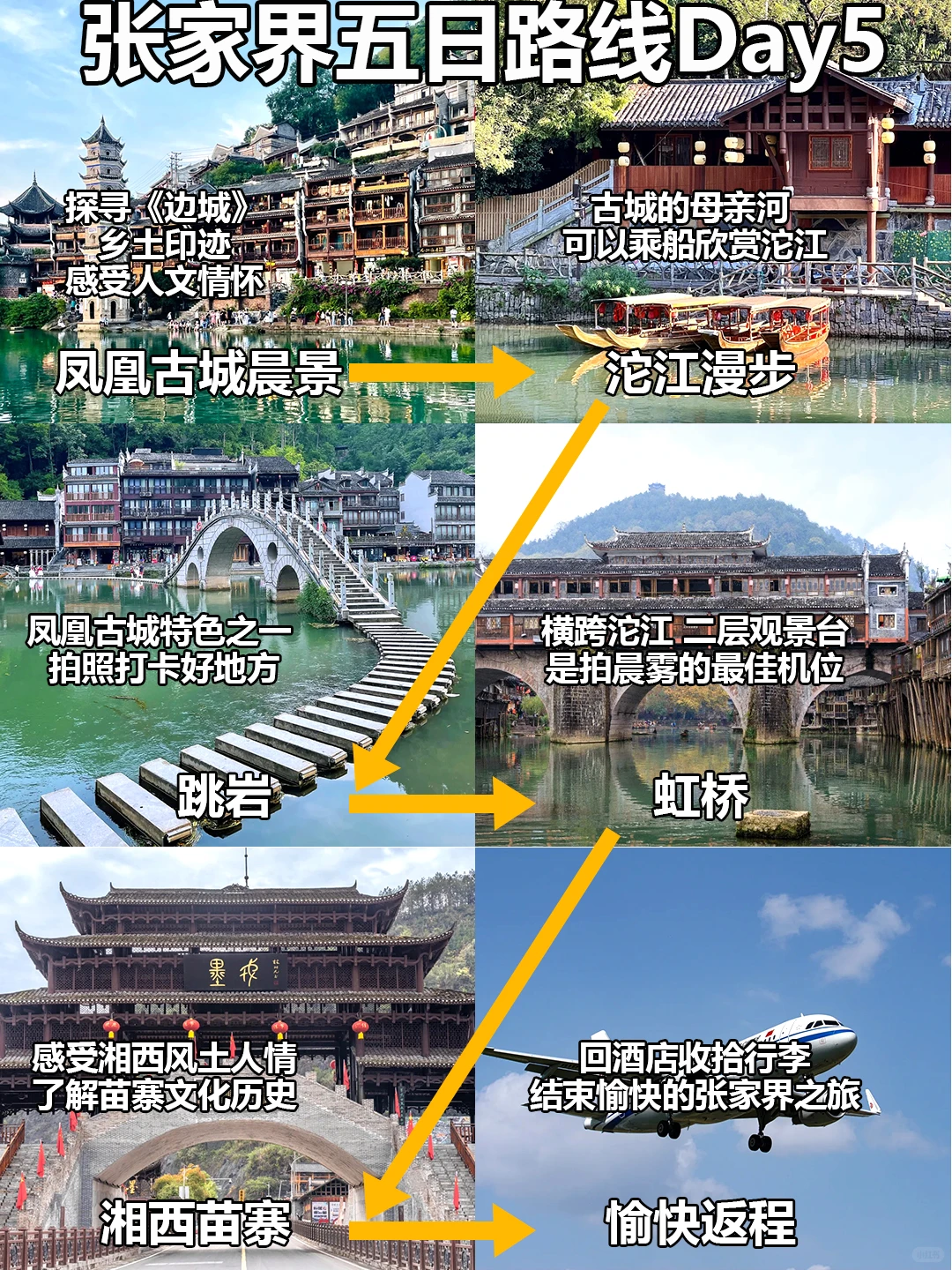 12.3📍张家界受冻已回🥶🥶崩溃了...