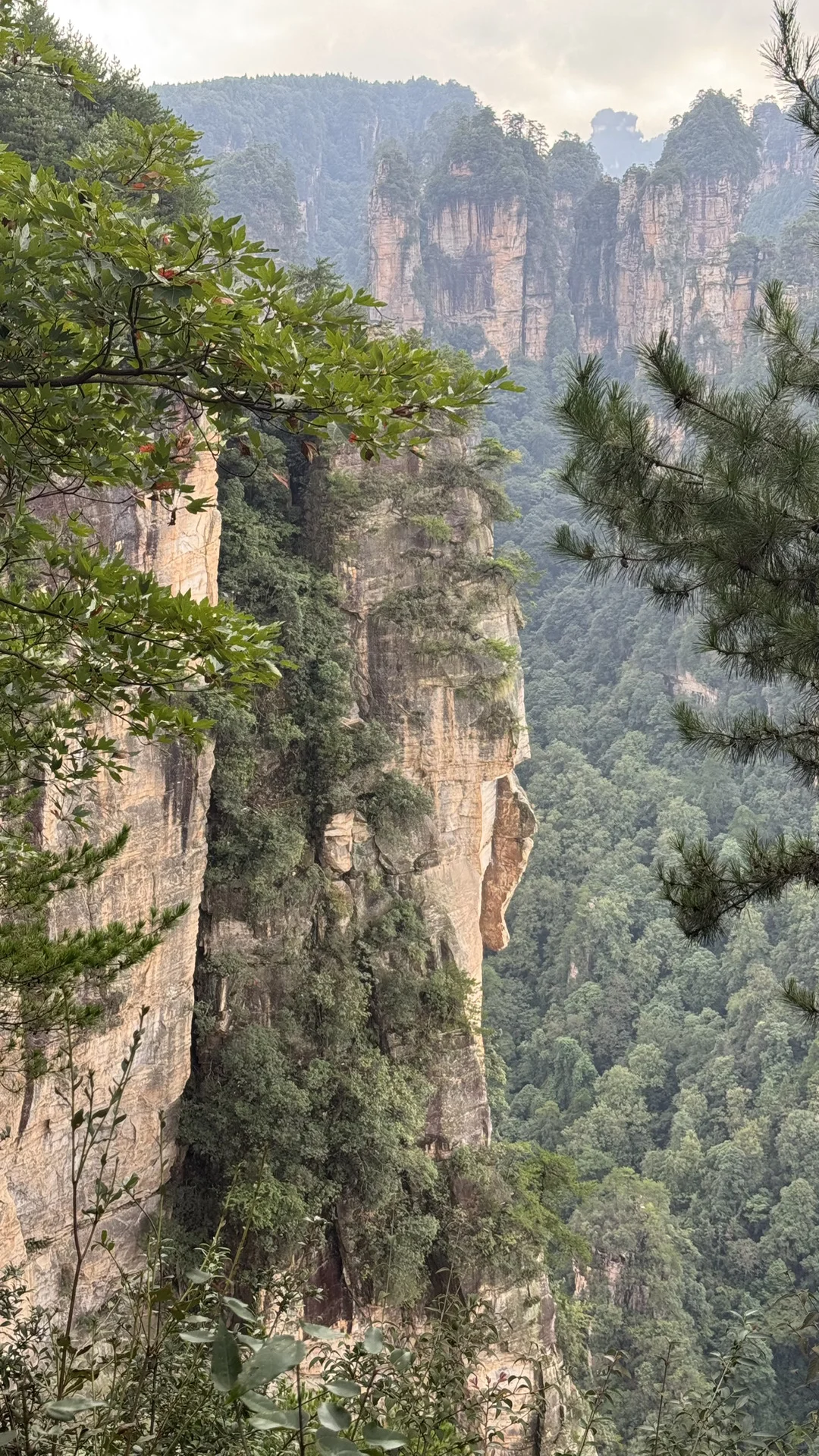 9.15实况 张家界国家森林公园