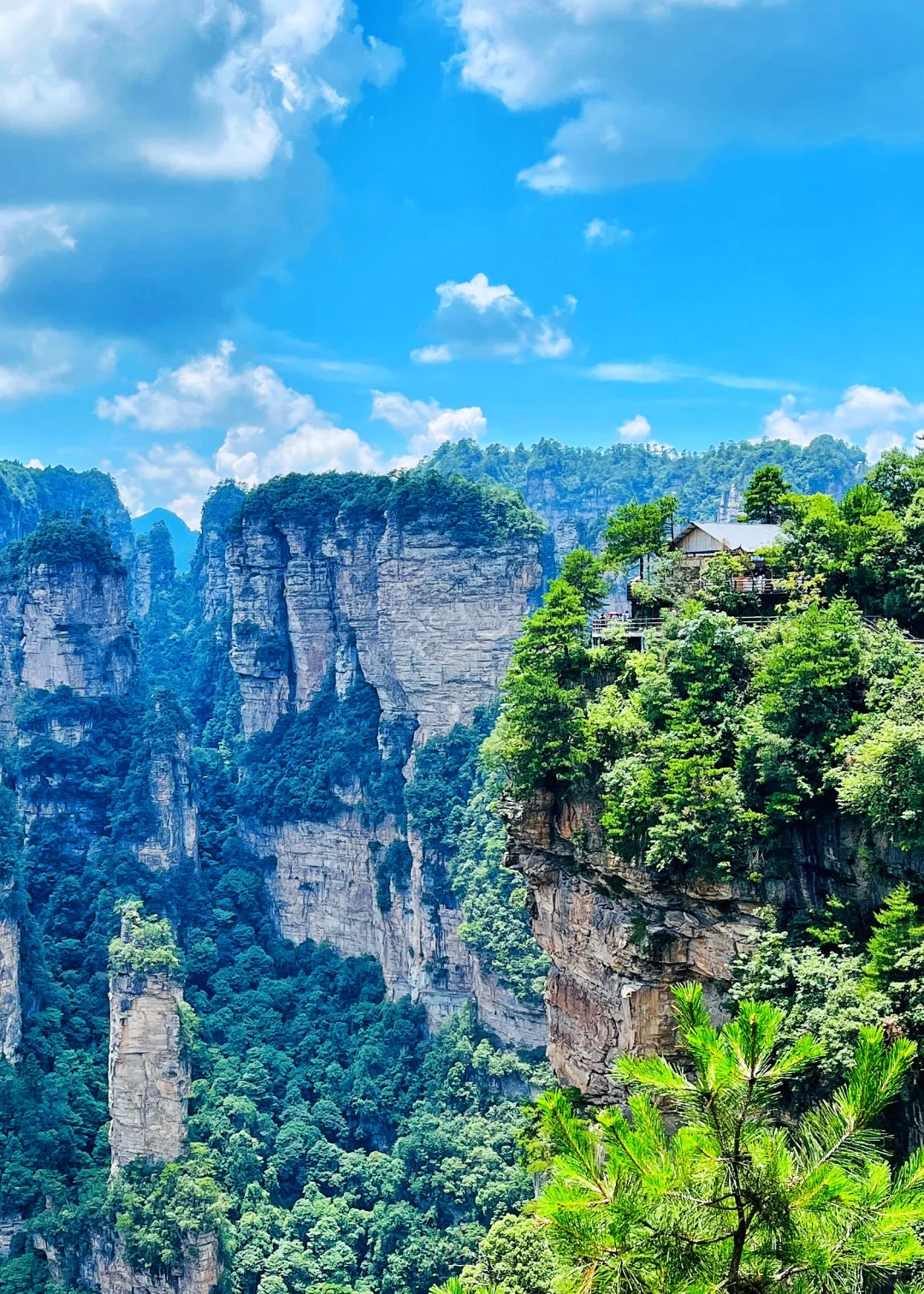 张家界|藏在仙境里的奇峰峻岭