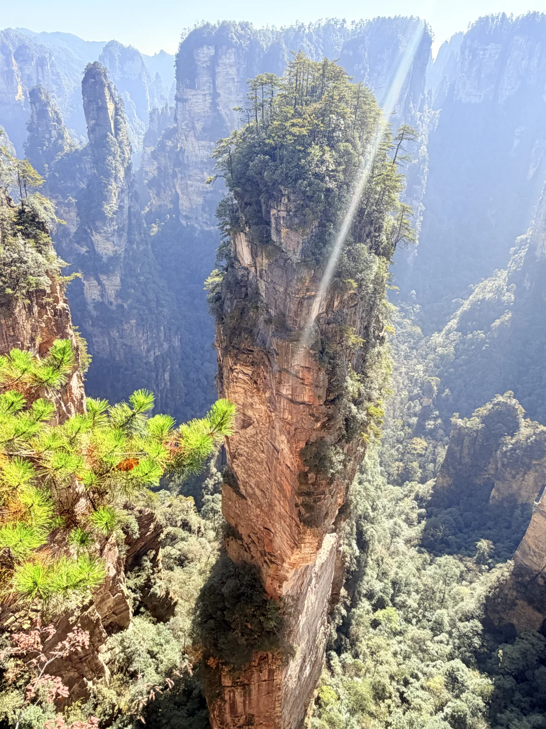 张家界国家森林公园⛰️阿凡达取景地