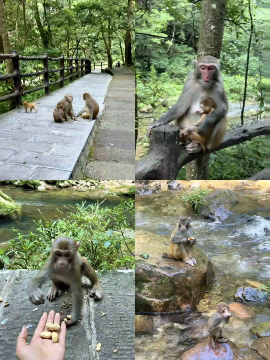 张家界4天3晚刚回！真心提醒还未出行的😓……