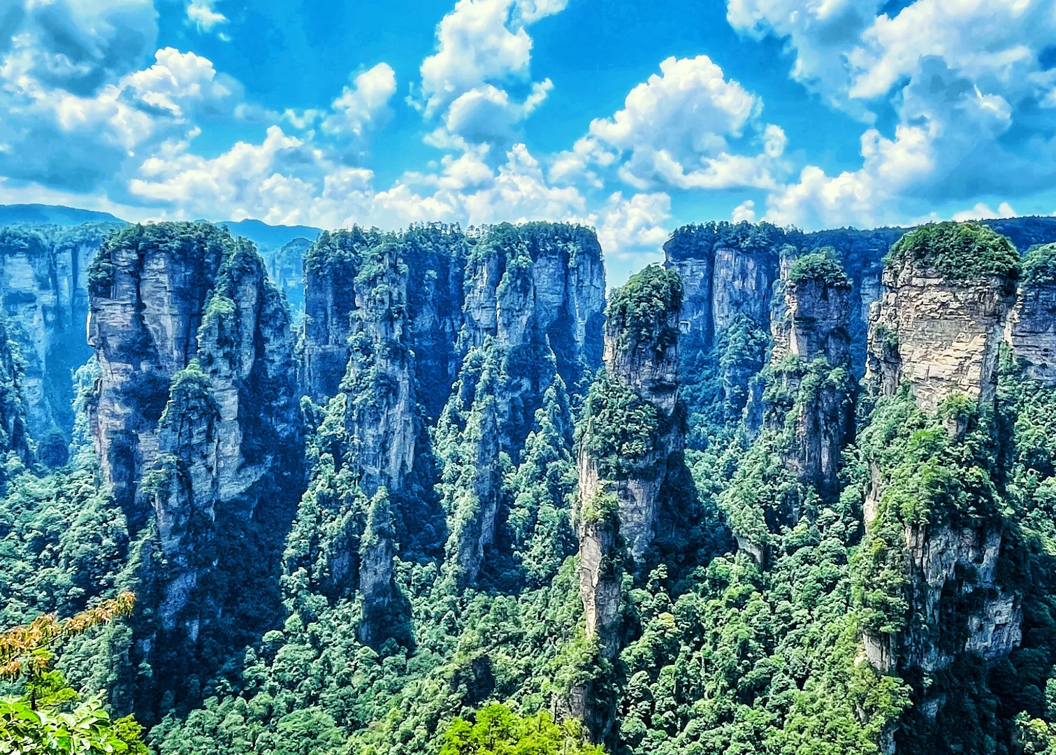 张家界|藏在仙境里的奇峰峻岭