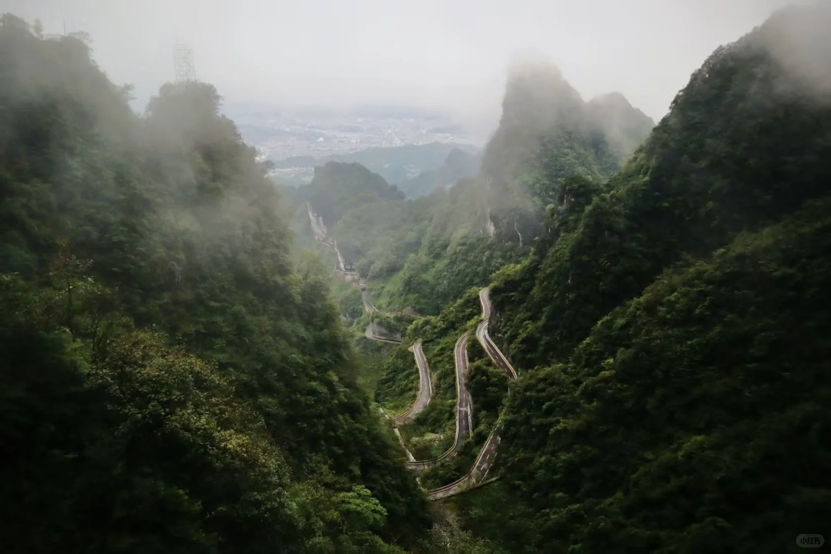 张家界｜藏在奇峰里的AI竞速超惊喜🏎️