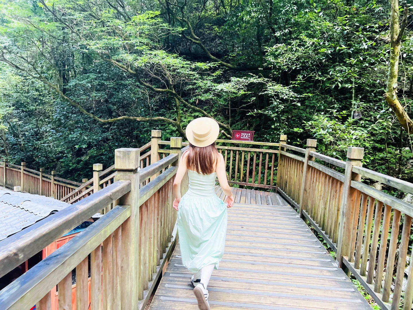 🌿张家界大峡谷｜被低估的治愈系秘境🫧