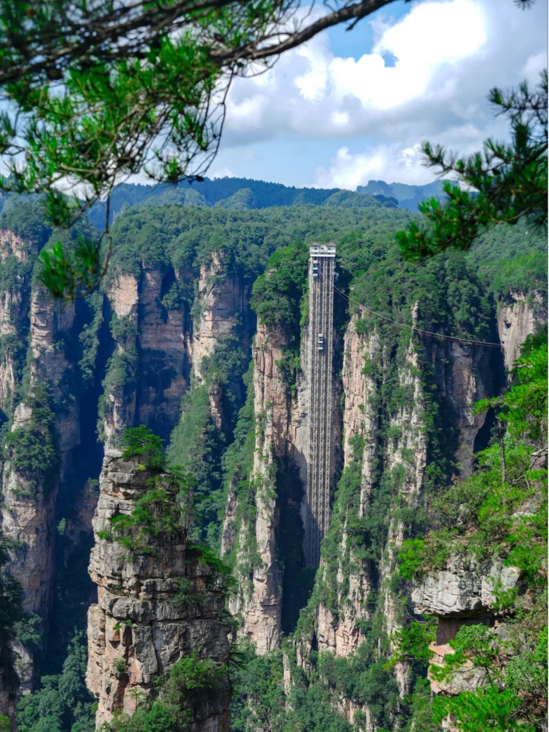 张家界4天3晚刚回！真心提醒还未出行的😓……