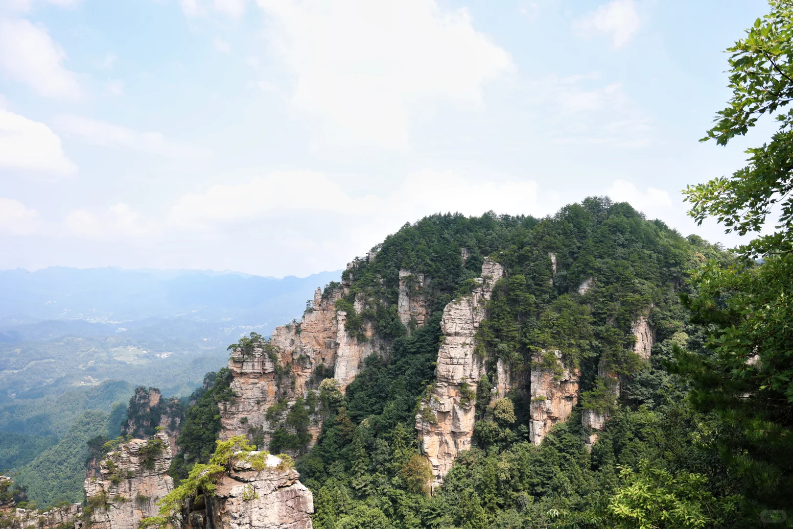 张家界已回，猛猛避雷！！！