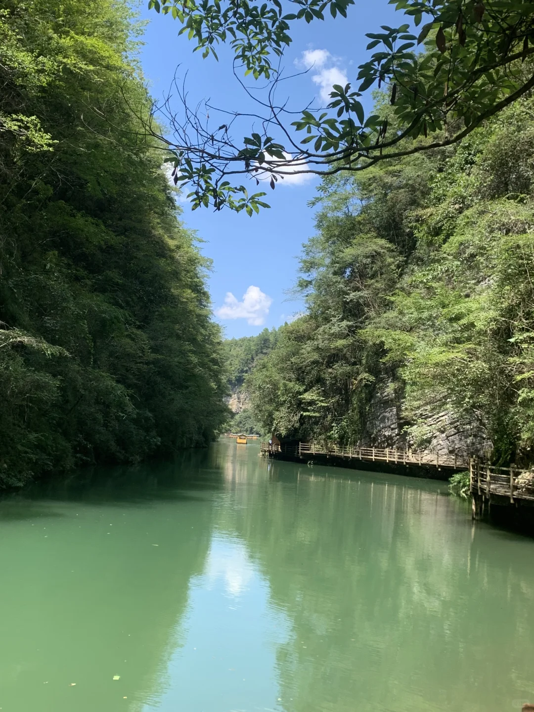 张家界大峡谷 | 神级live图