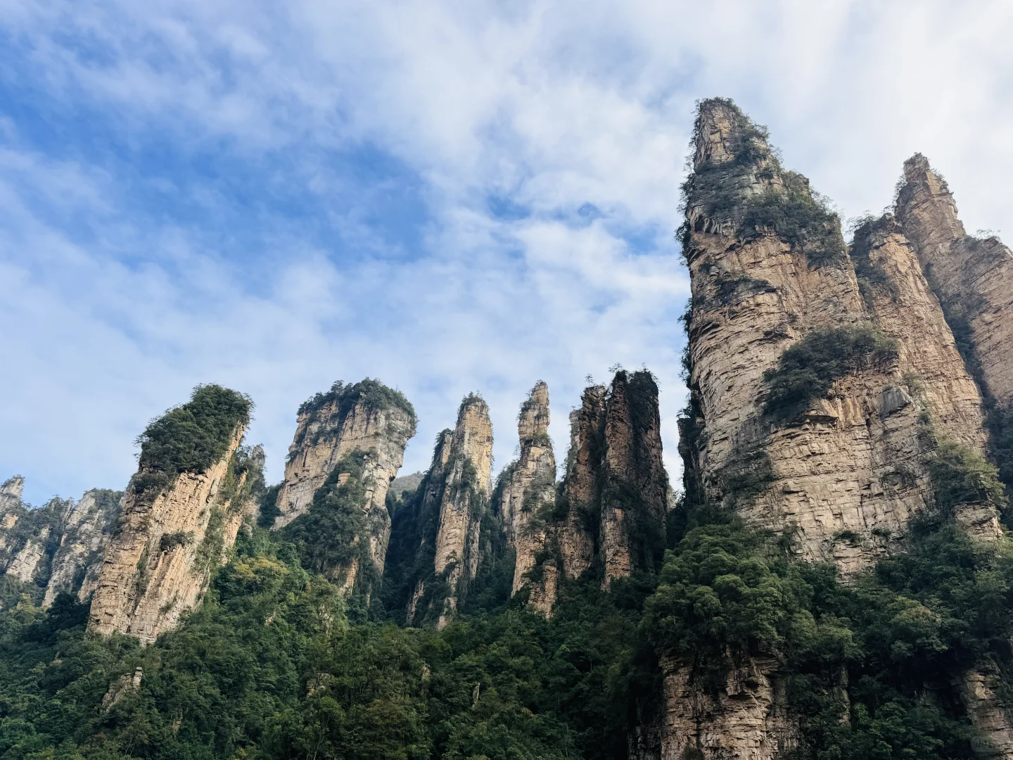 11.11的张家界森林公园