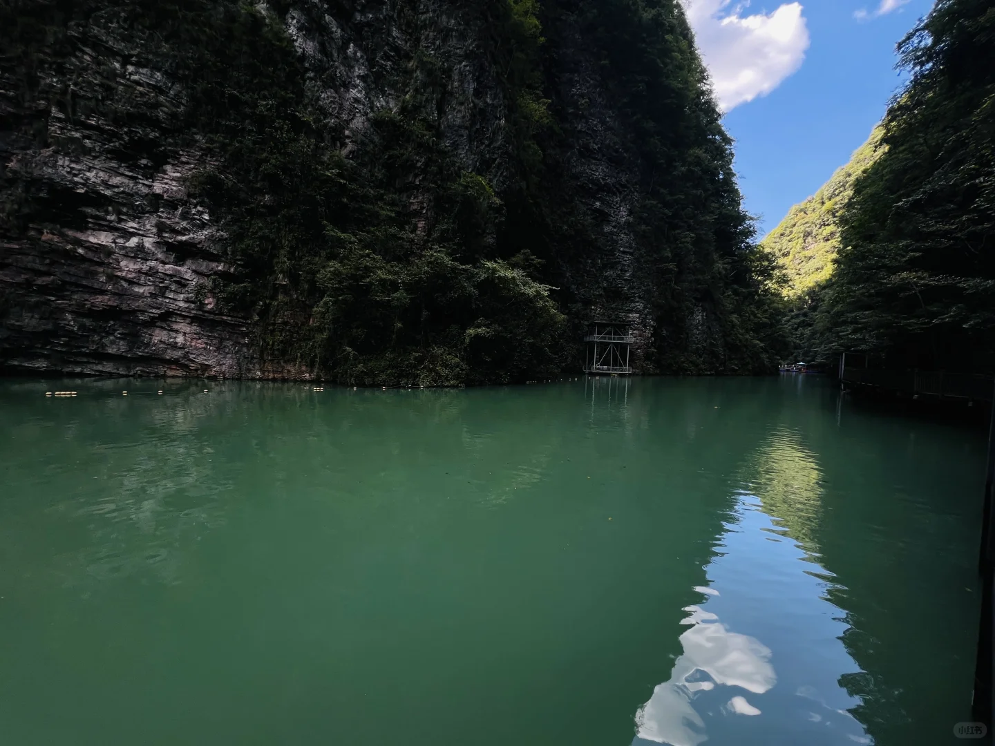 🌿张家界大峡谷｜被低估的治愈系秘境🫧