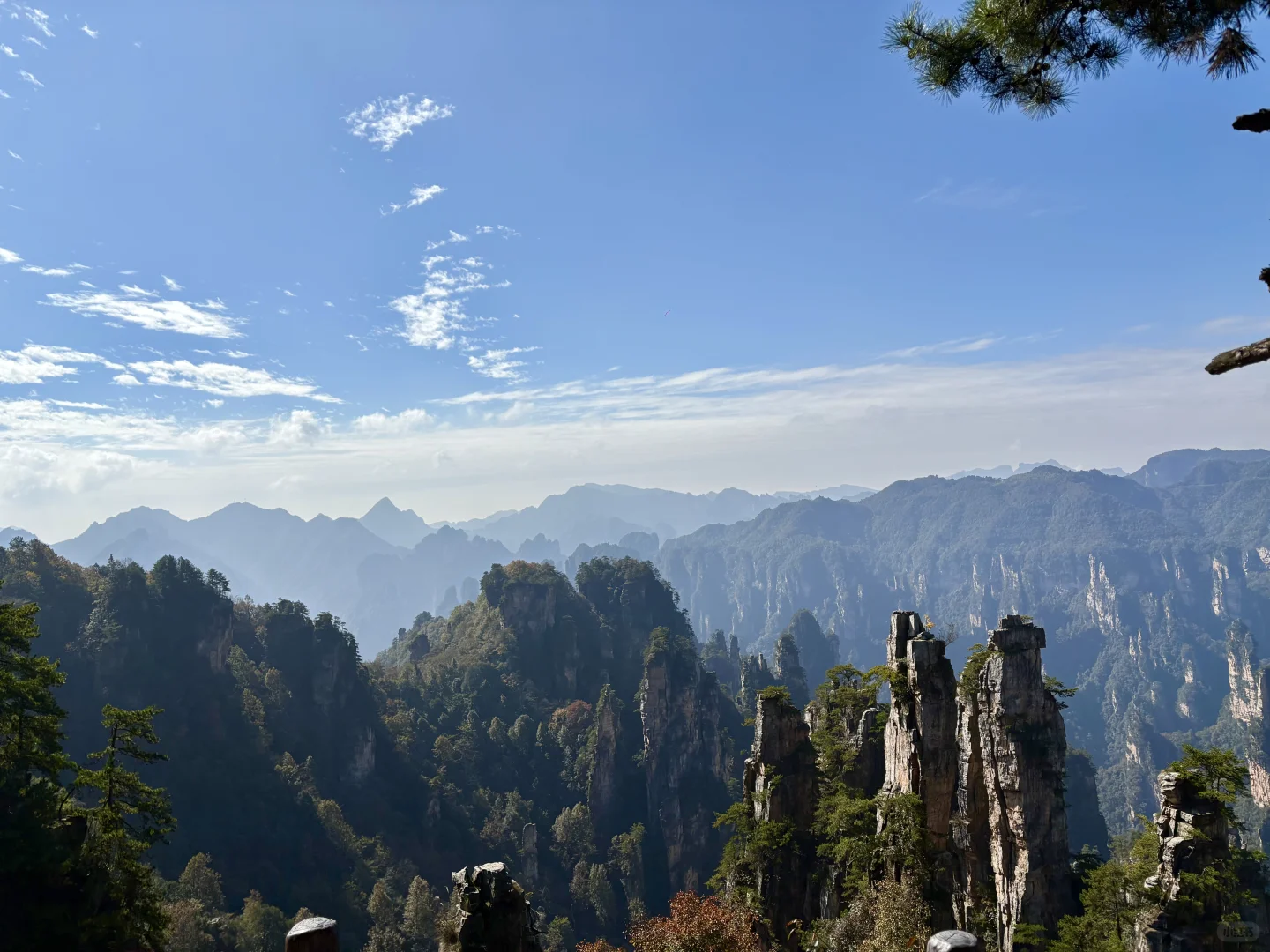 当你在张家界找了一个向导