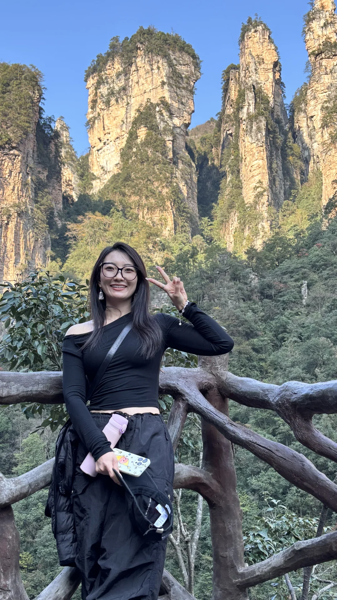 张家界山里好多猴🐒