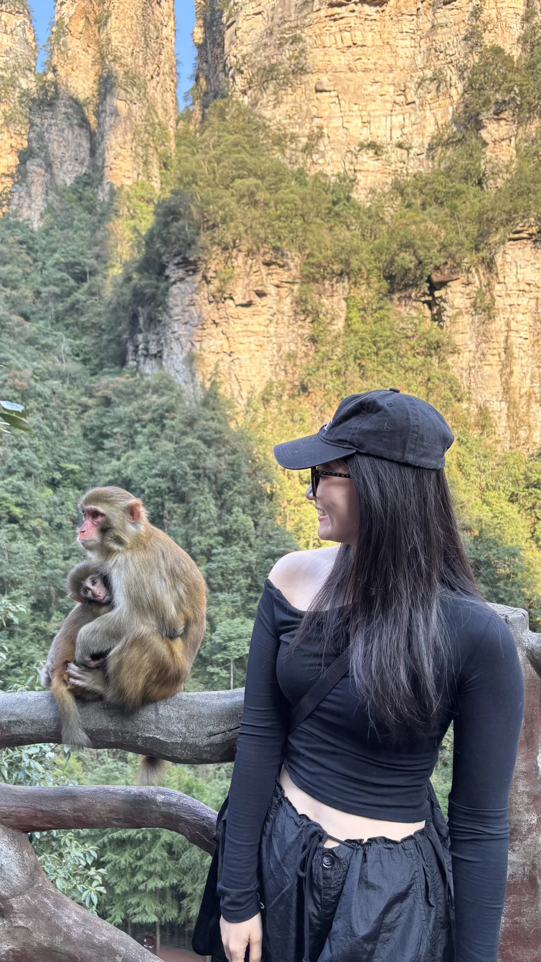 张家界山里好多猴🐒