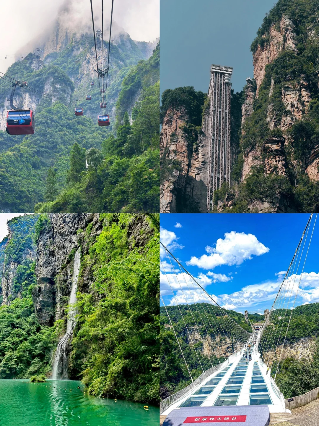 来张家界怎么玩❓跟团or自由行🌈看就懂