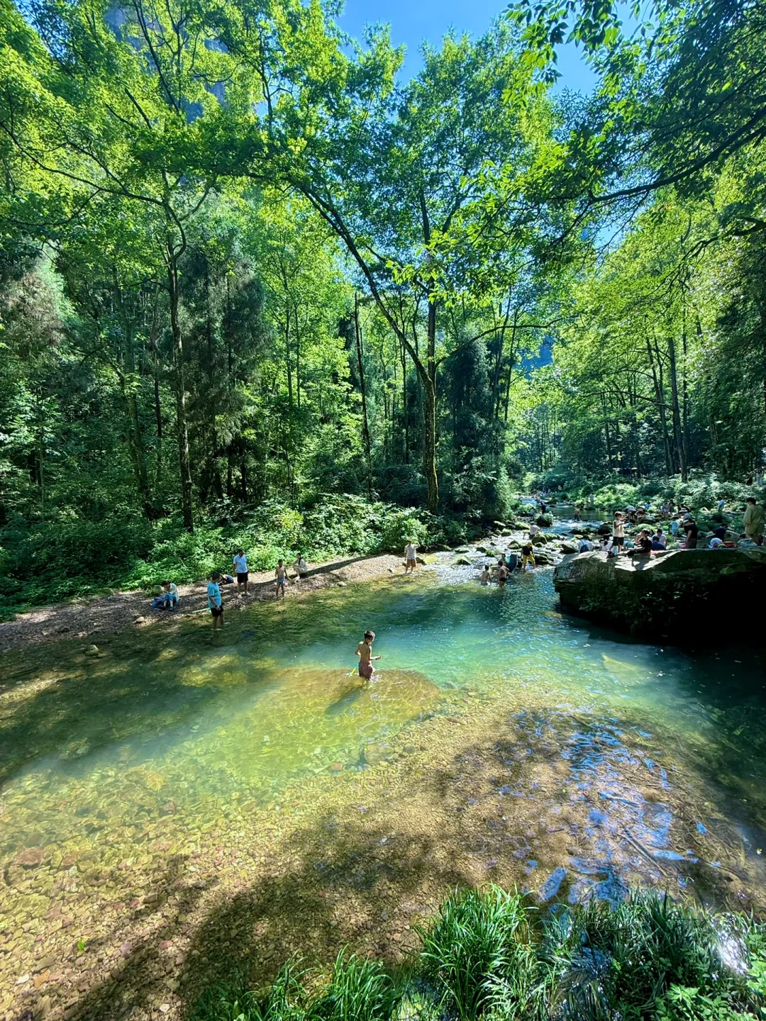 张家界4天3晚刚回！真心提醒还未出行的😓……