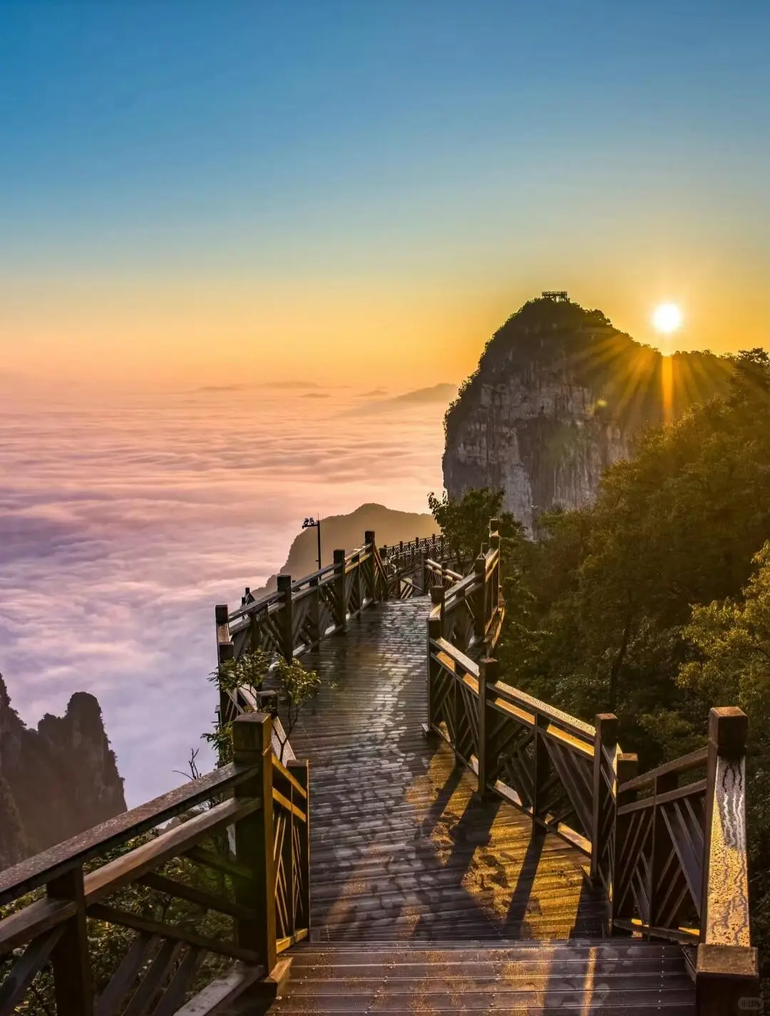 张家界旅游✅保证天门山走A线不排队随时走