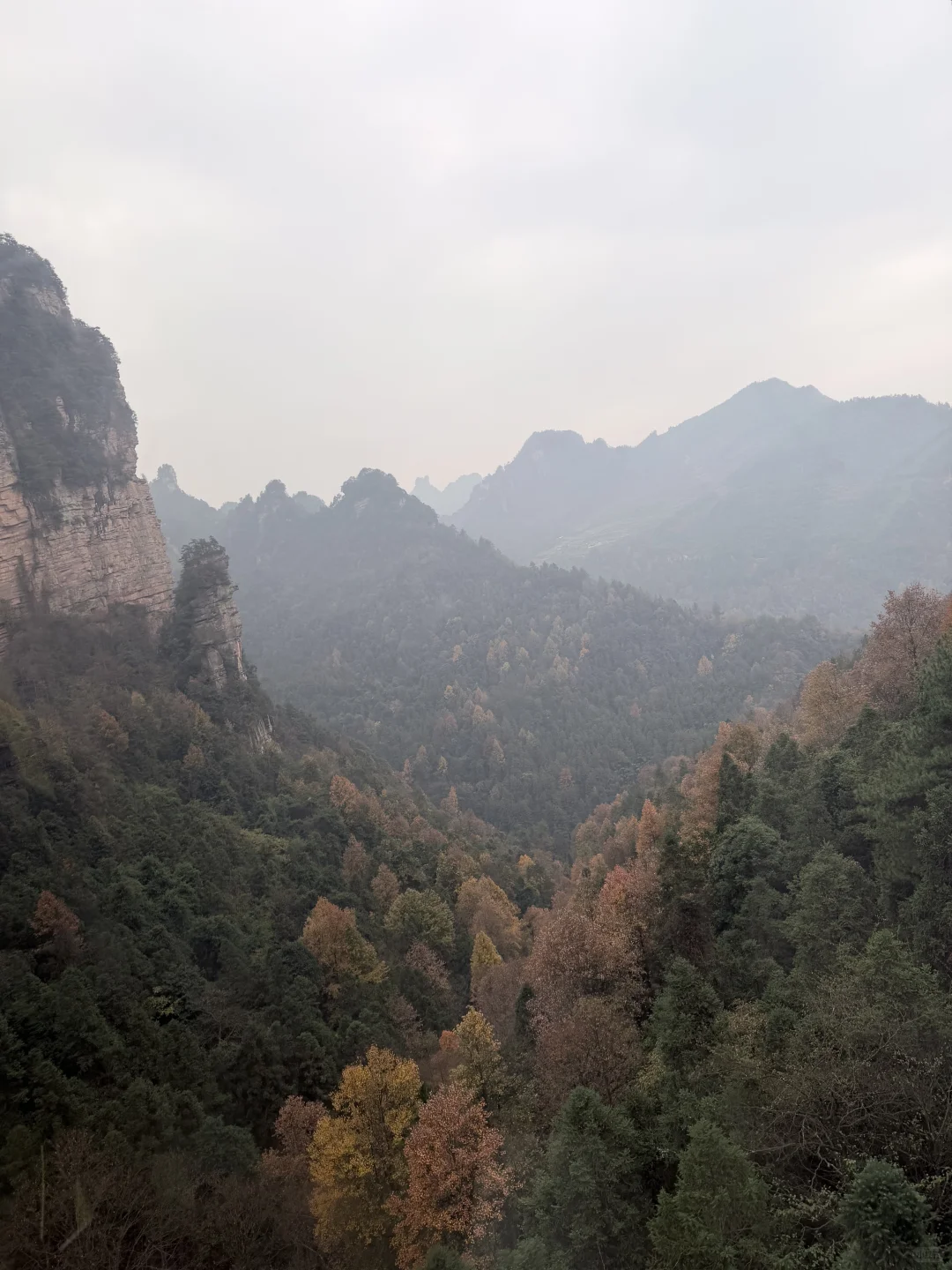 不识庐山真面目，原来是在张家界