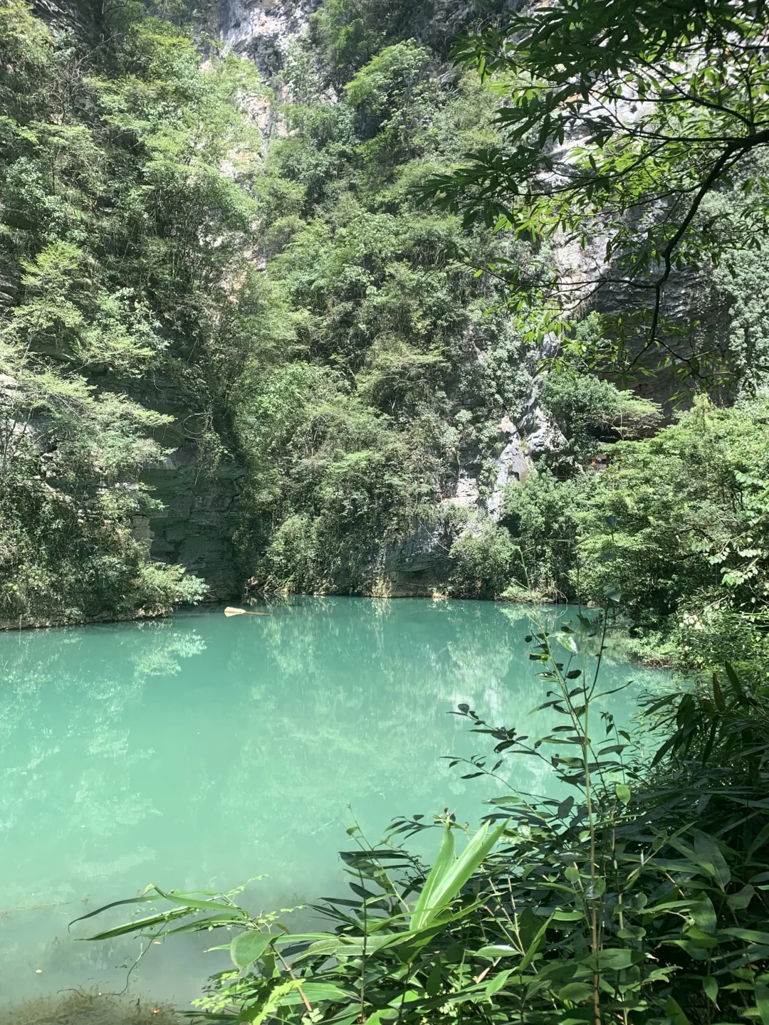 张家界大峡谷 | 神级live图