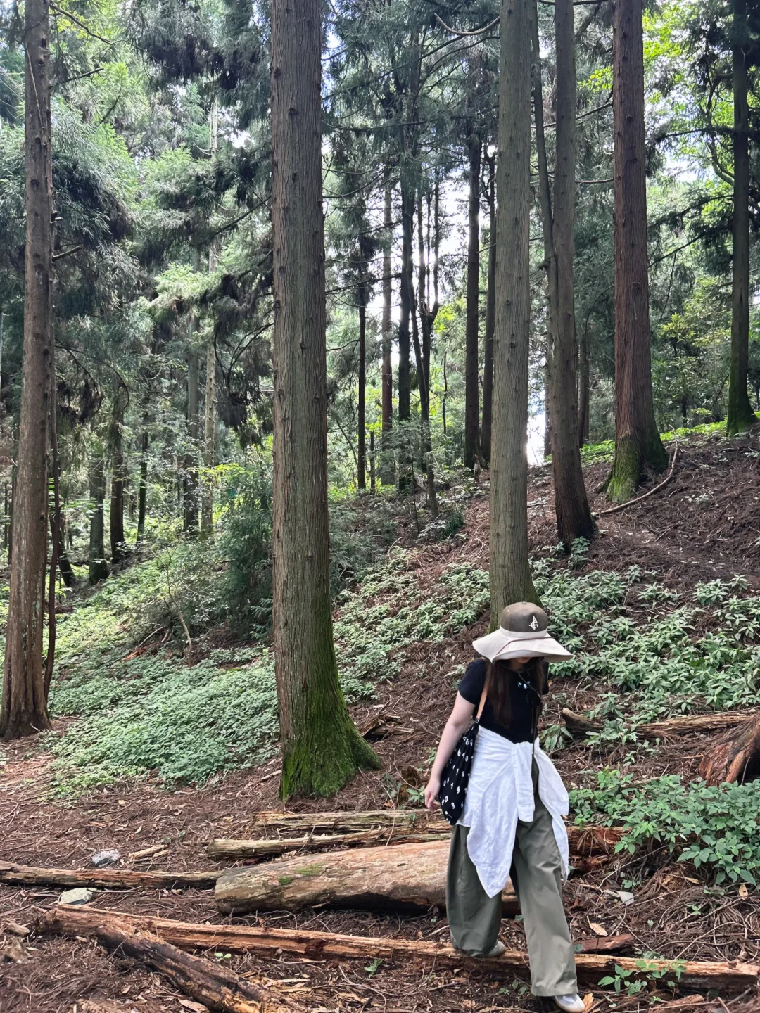 来张家界带得最对的一个东西