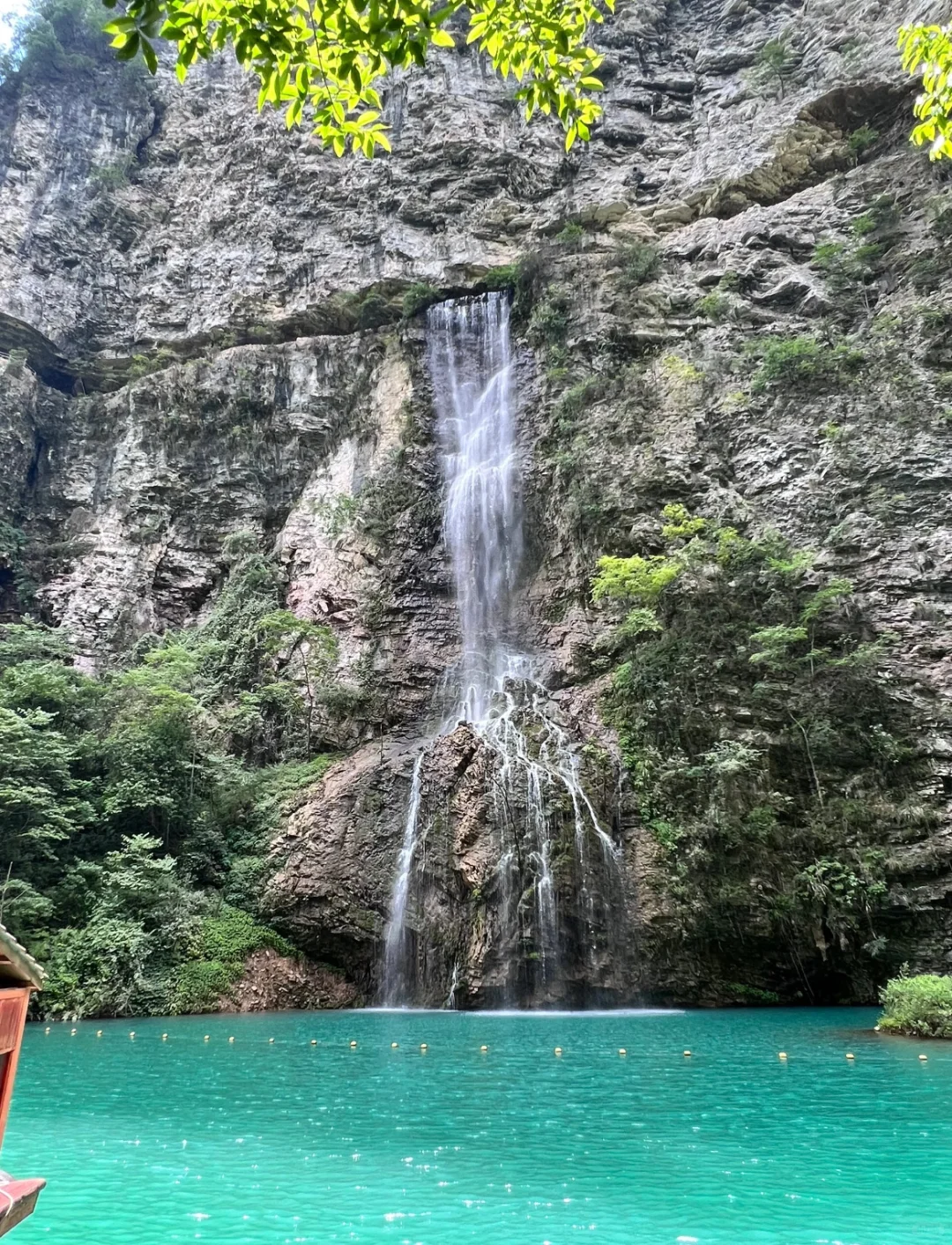 🌿张家界大峡谷｜被低估的治愈系秘境🫧