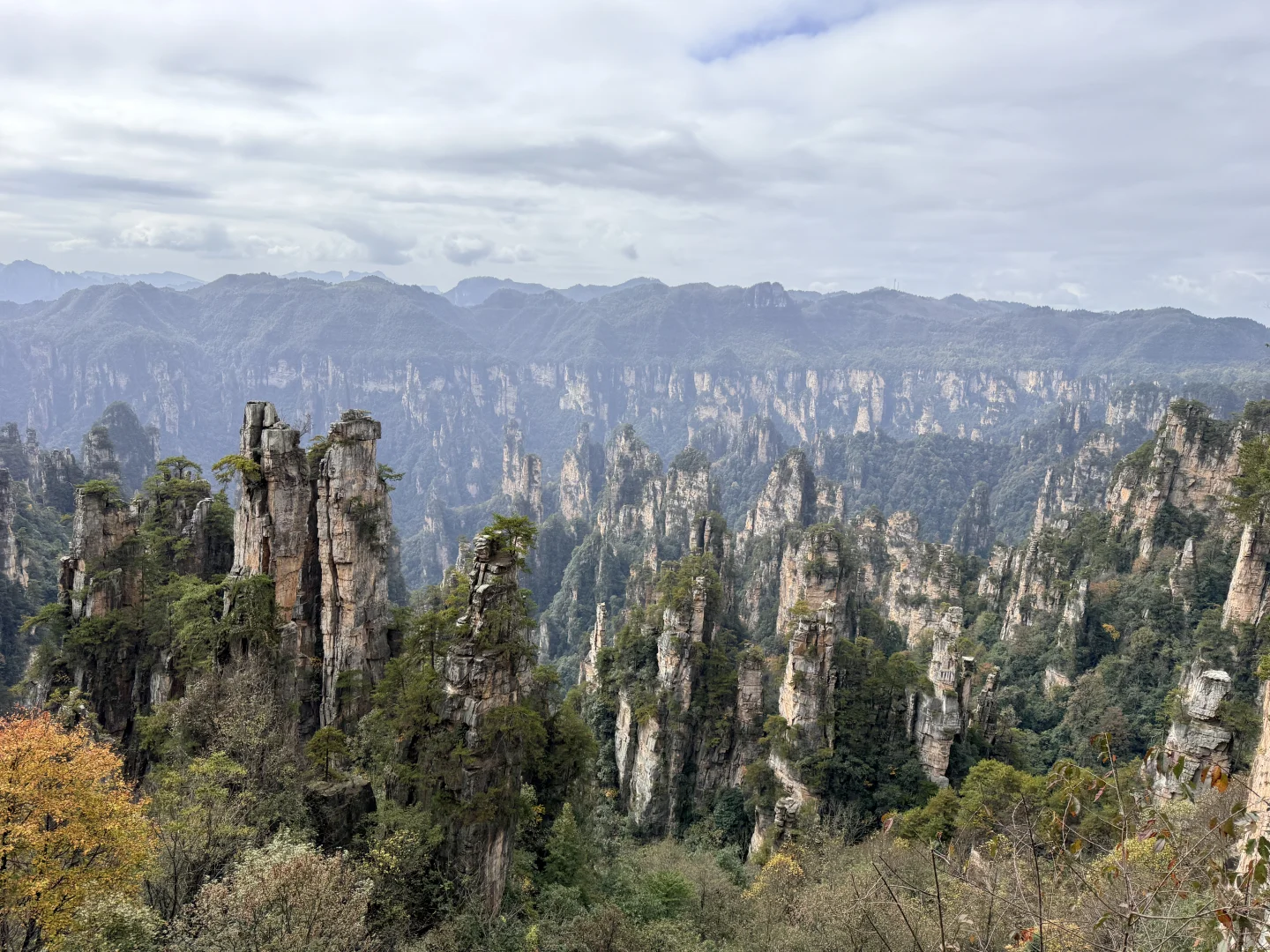 11.11的张家界森林公园