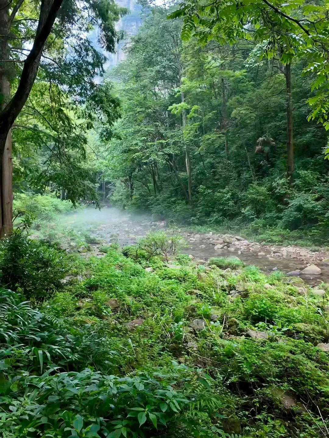 去了张家界武陵源，感觉其他山就不想去了