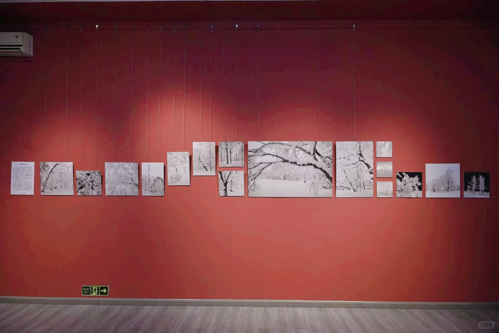 张家界世界遗产摄影展藏着东北的冰雪！