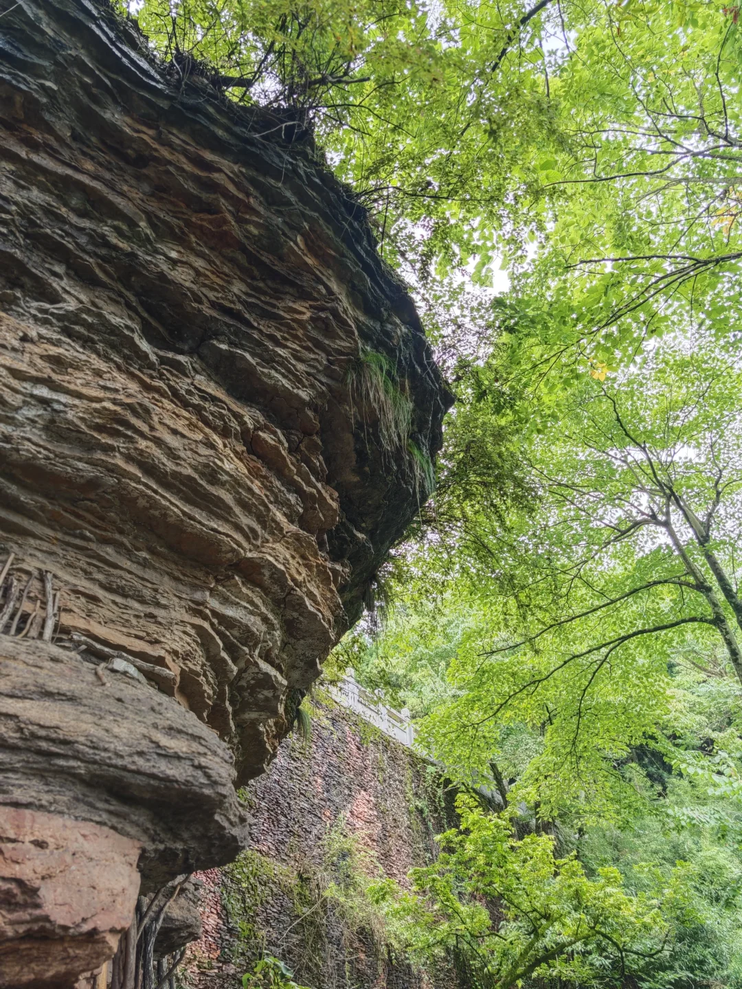 两日游玩张家界森林公园，反向拒绝人堵人