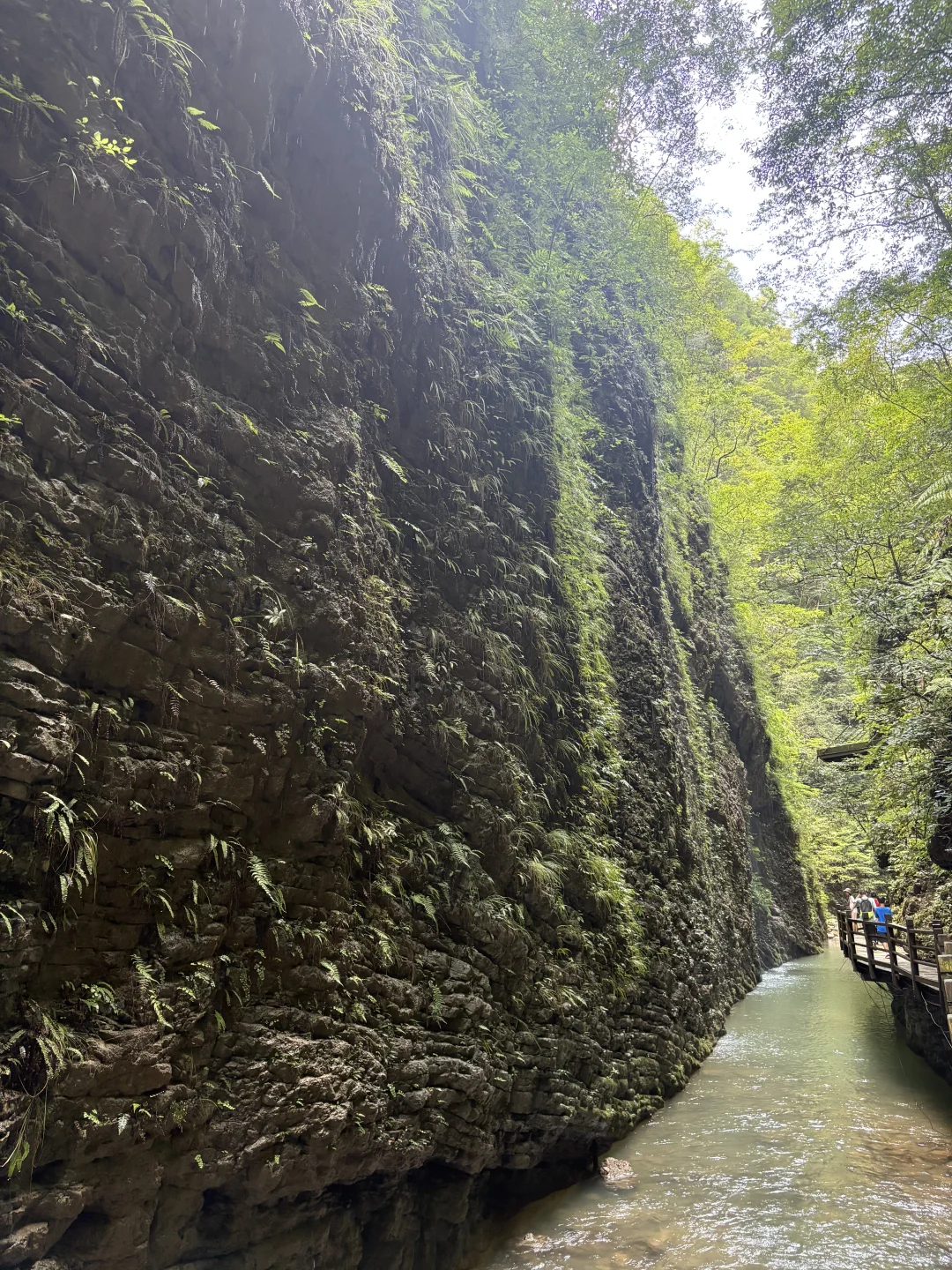 2025暑期游－张家界大峡谷