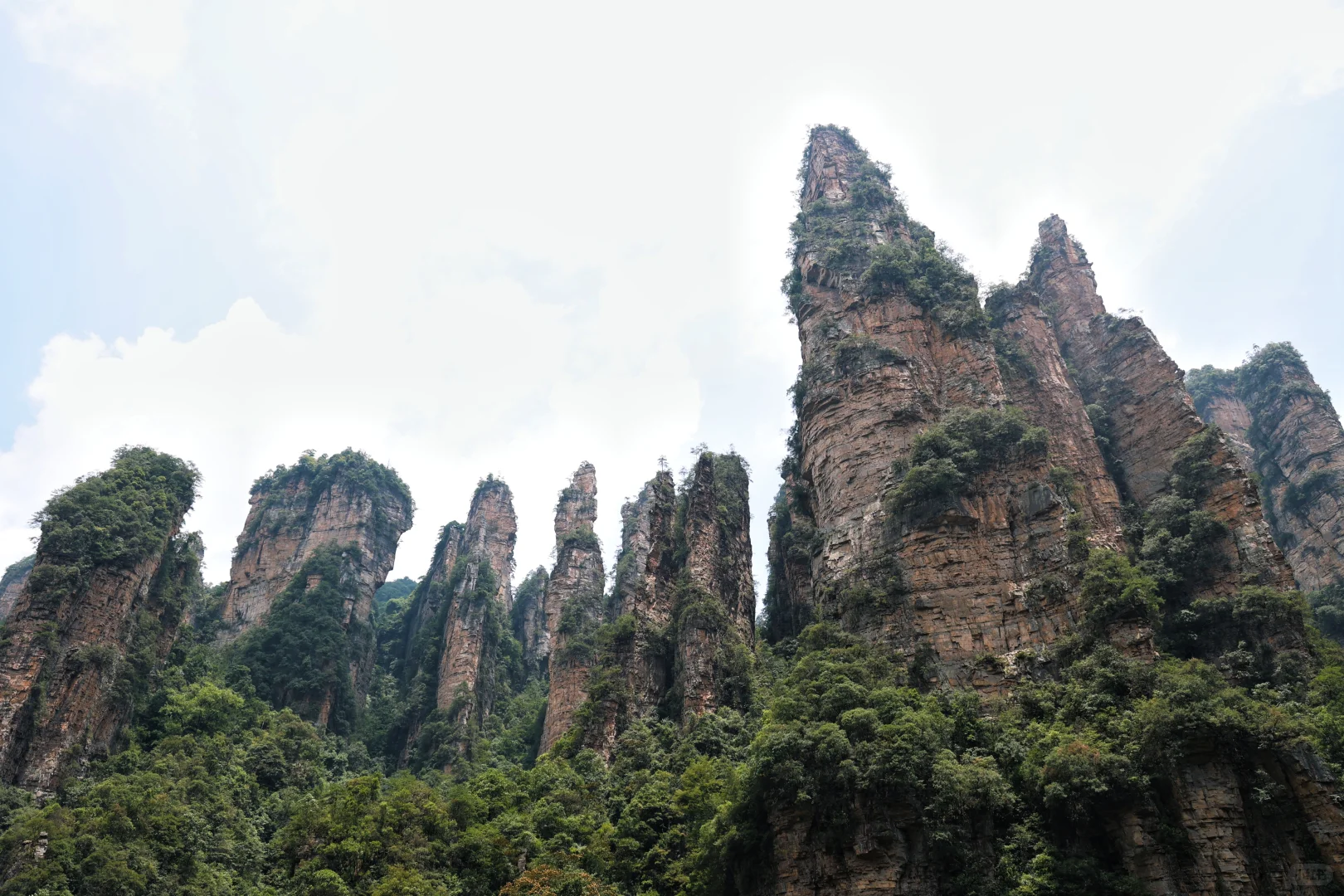 张家界已回，猛猛避雷！！！