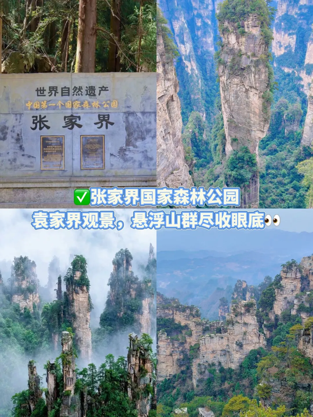 张家界美食合集，熬夜整理！