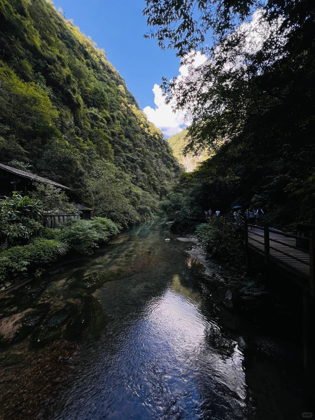 🌿张家界大峡谷｜被低估的治愈系秘境🫧
