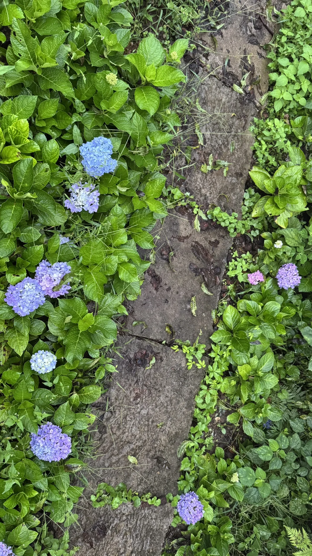 9.15实况 张家界国家森林公园