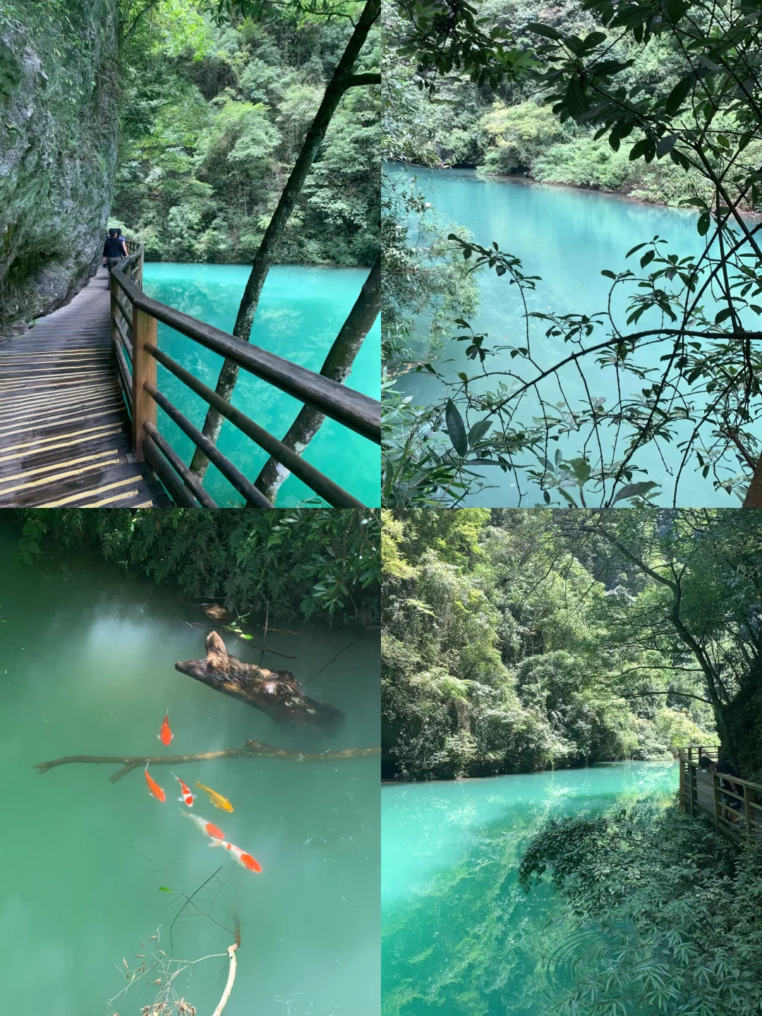 张家界大峡谷 | 神级live图