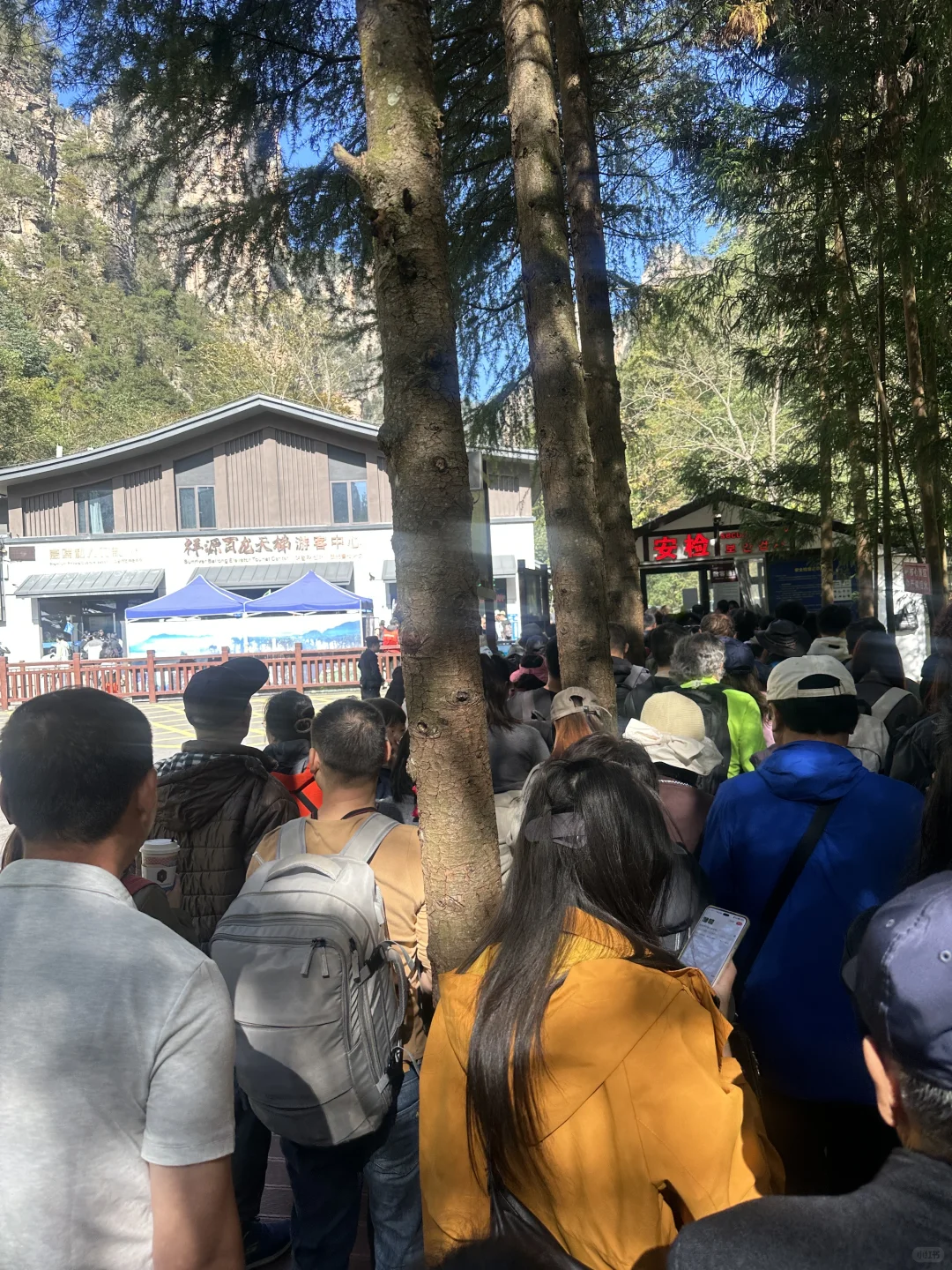 11.13 张家界百龙天梯别来了 劝退 劝退