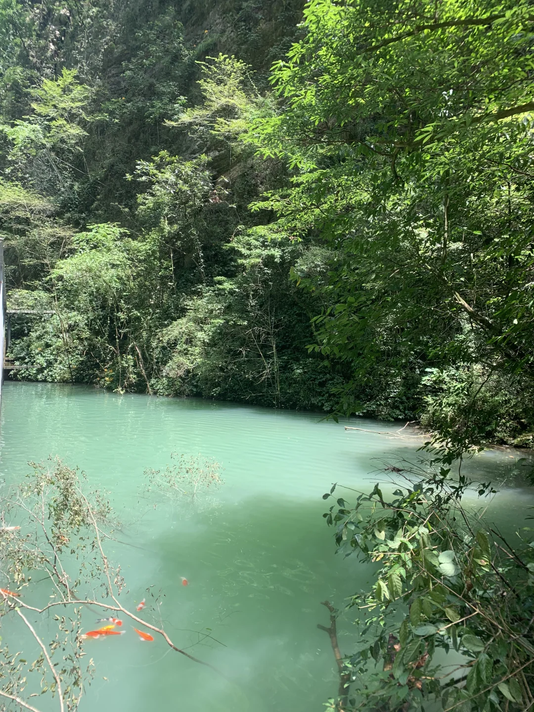 张家界大峡谷 | 神级live图