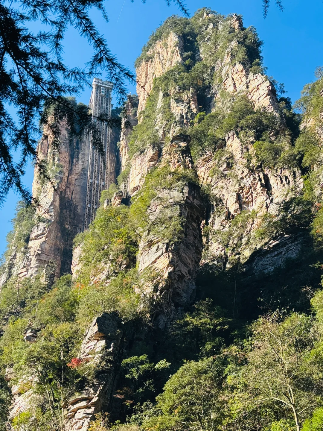 张家界森林公园11月22日现状⛰️天气很好
