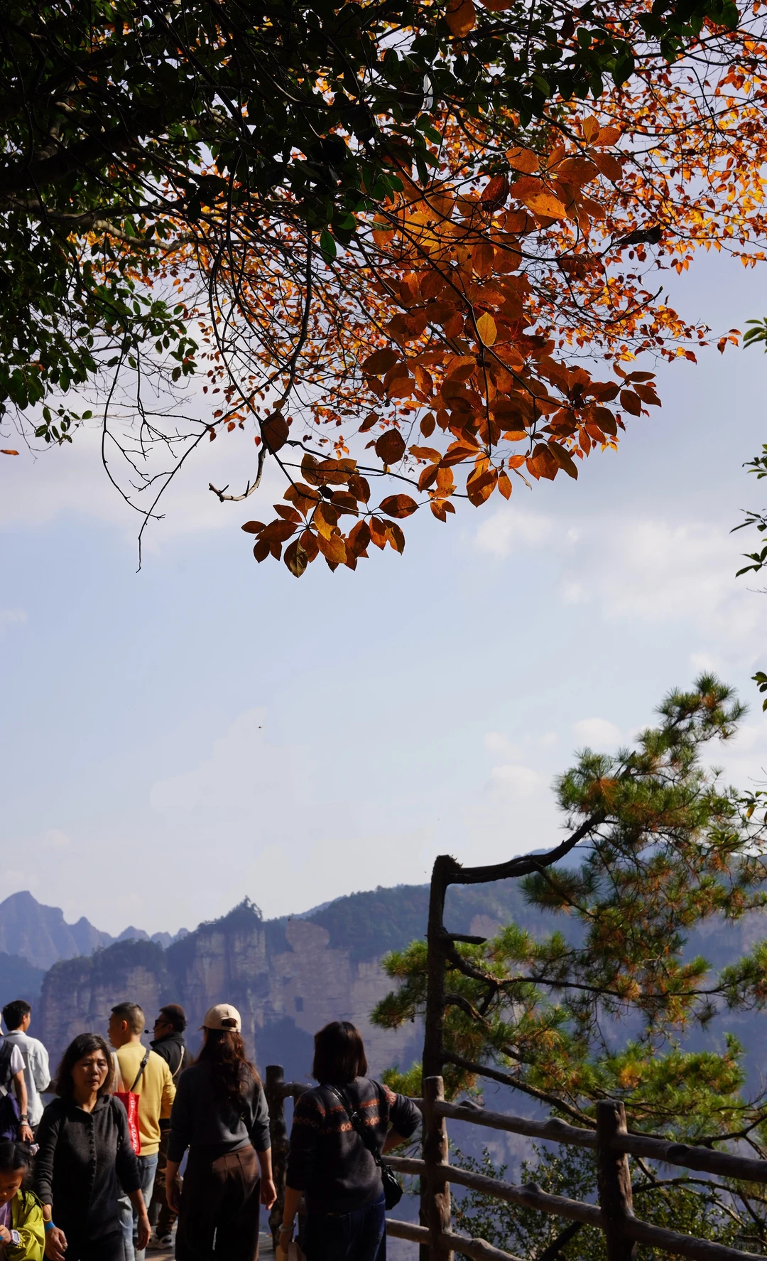 张家界的深秋绝美啊～