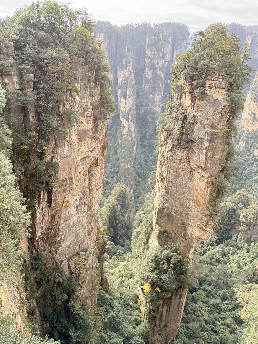 11.11的张家界森林公园