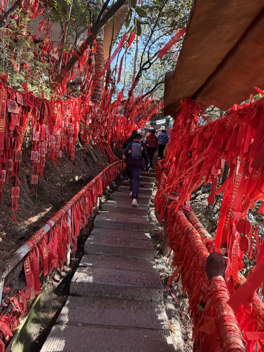 张家界国家森林公园⛰️阿凡达取景地