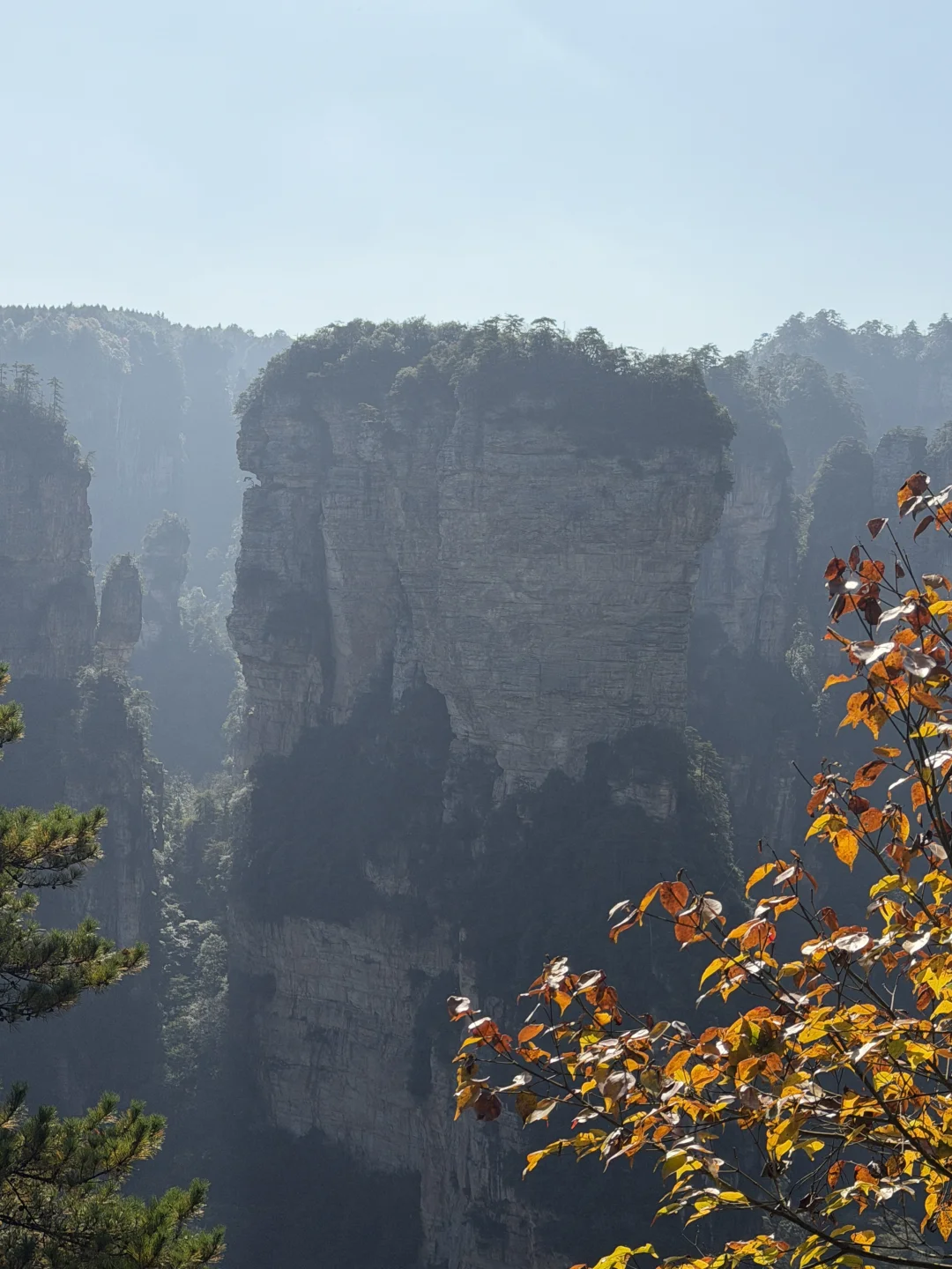 张家界国家森林公园⛰️阿凡达取景地