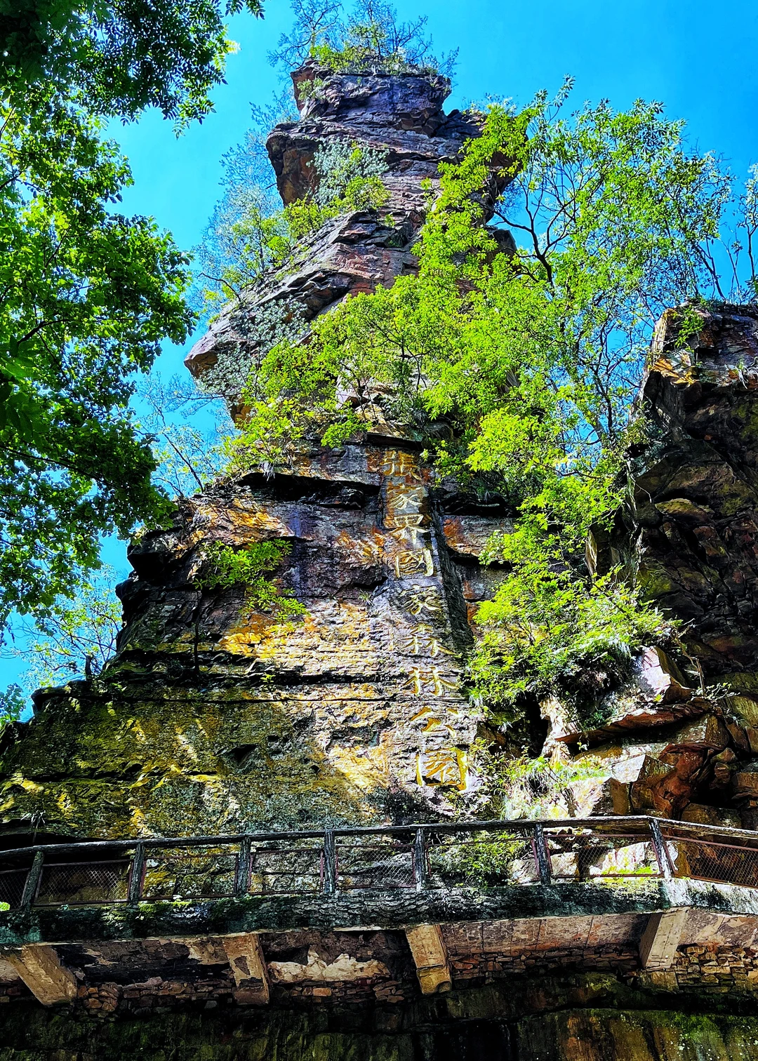张家界|藏在仙境里的奇峰峻岭