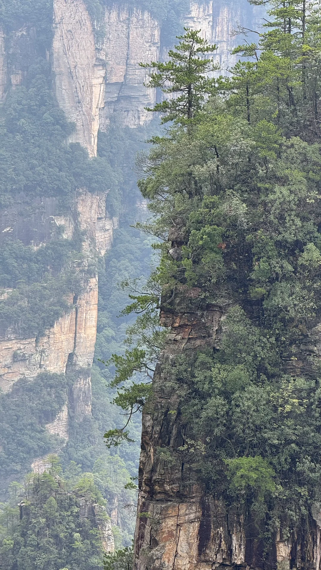 9.15实况 张家界国家森林公园