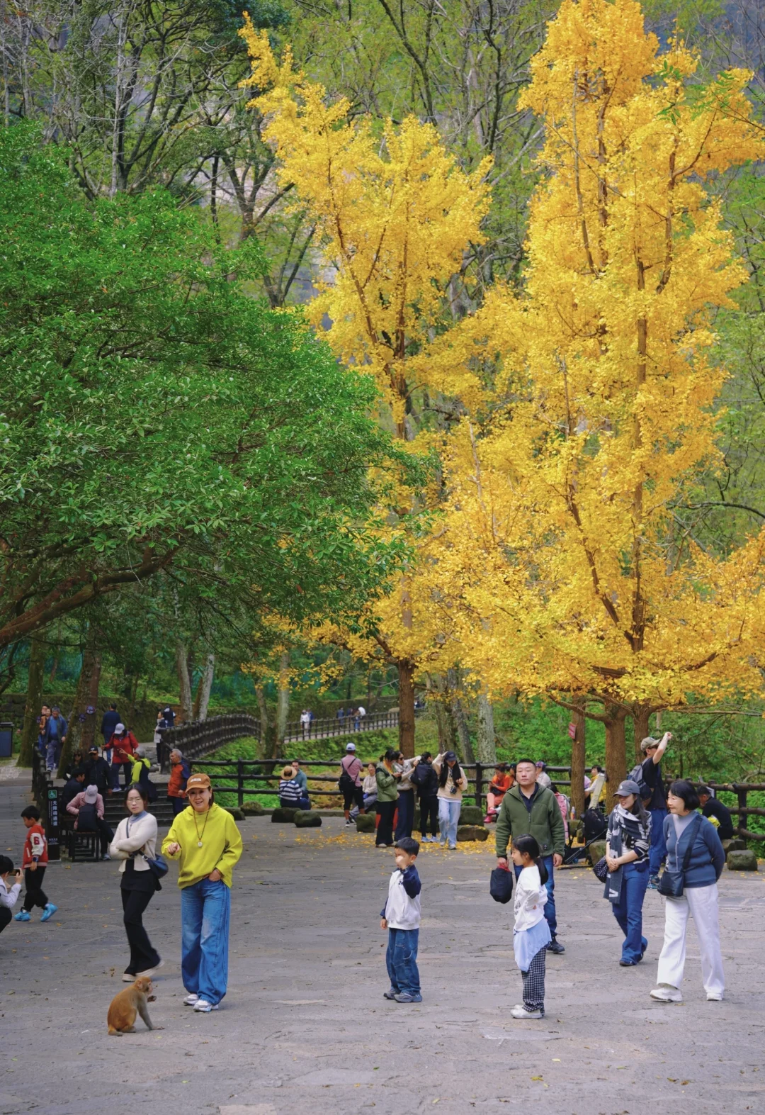 张家界的深秋绝美啊～