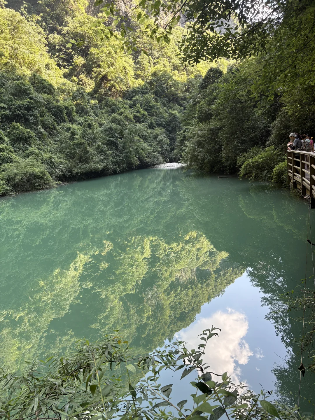 2025暑期游－张家界大峡谷