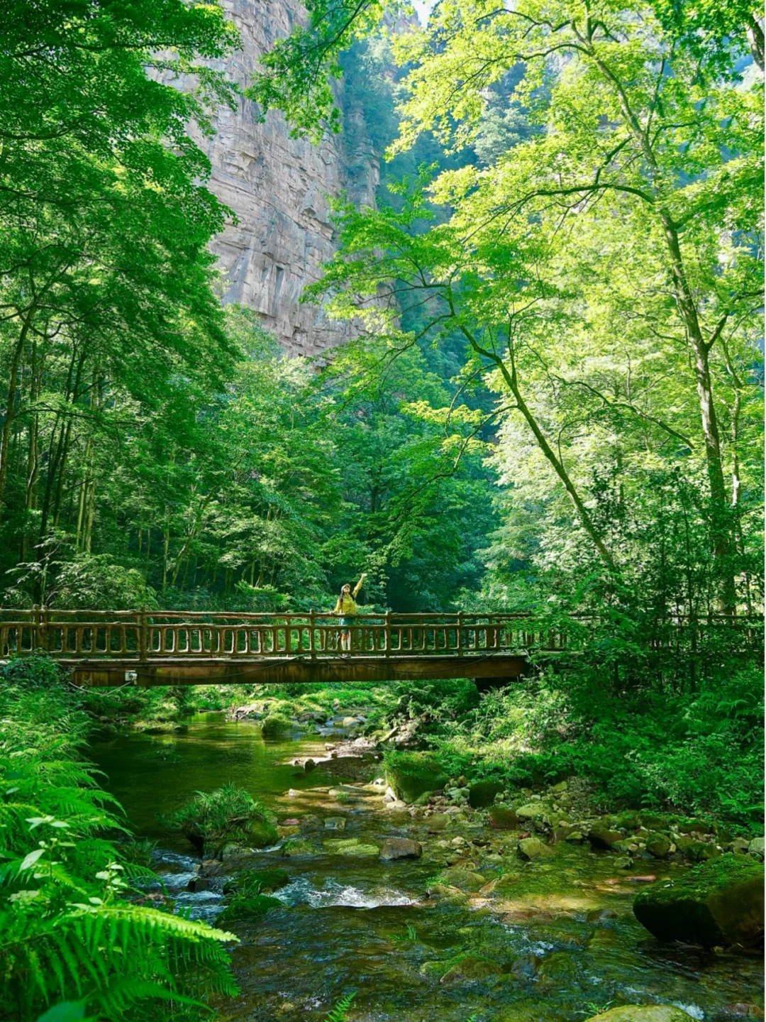张家界4天3晚刚回！真心提醒还未出行的😓……