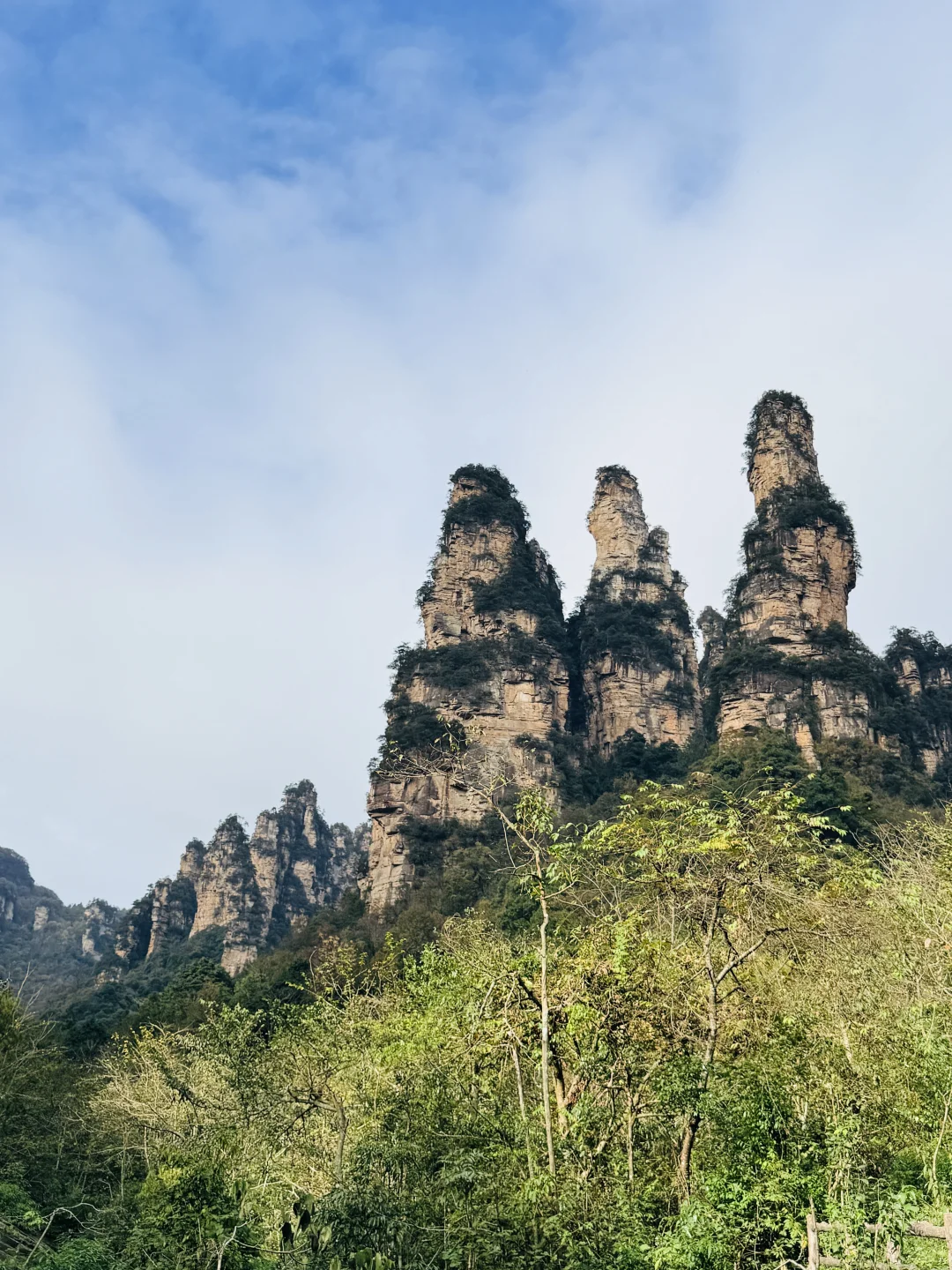 11.11的张家界森林公园