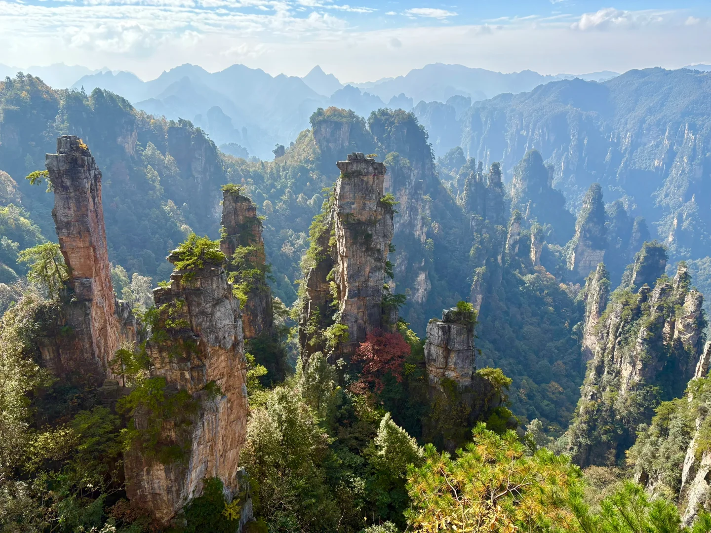 当你在张家界找了一个向导